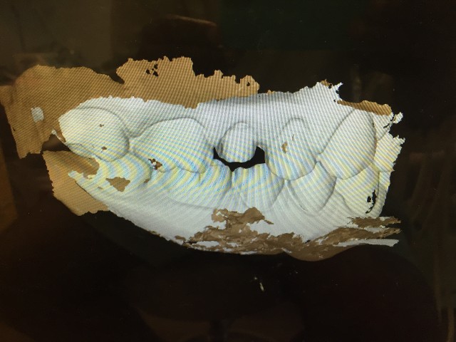 3D model