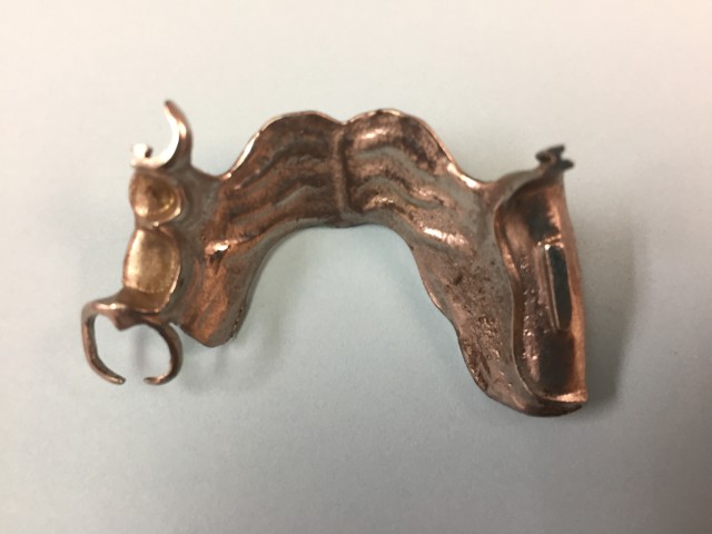 Palatal Strap Framework