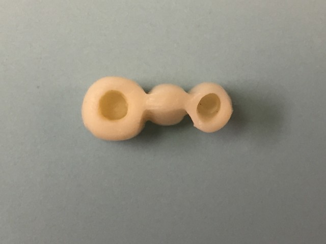 Implant Supported Bridge Bridge Only