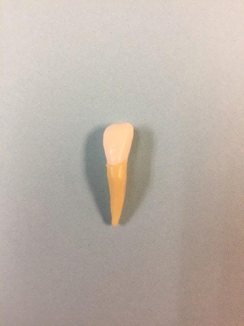 Inwood Dental PC